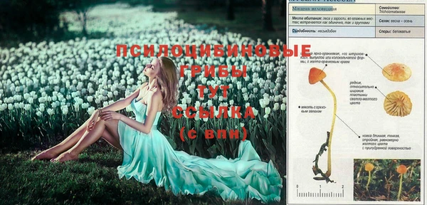 гашиш Алзамай