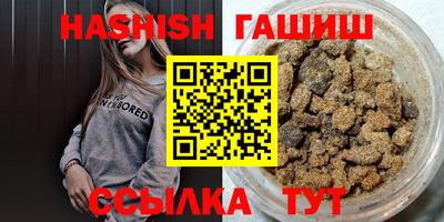 крисы Моздок