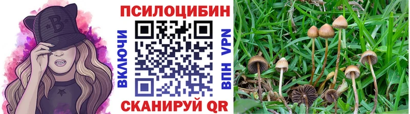 магазин  наркотиков  Тосно  ссылка на мегу вход  Галлюциногенные грибы GOLDEN TEACHER 