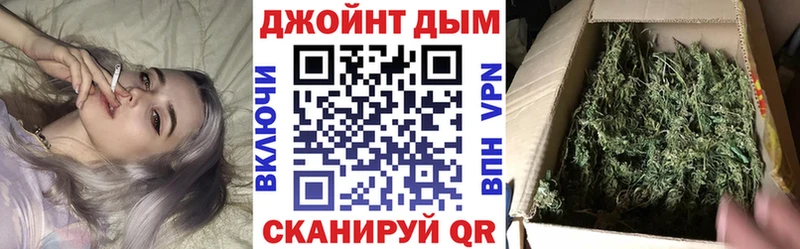 Каннабис план  Тосно 